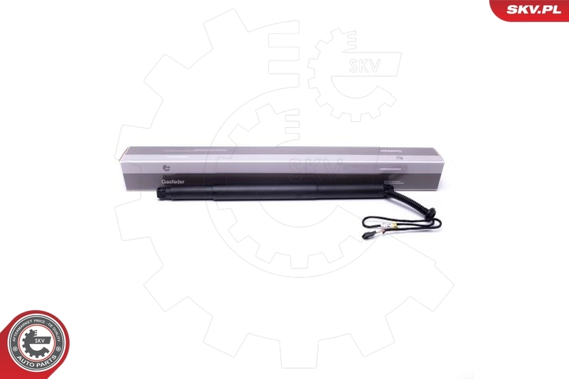 Electric Motor, tailgate